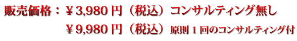 ビジネスプラン・創業計画書DVD料金
